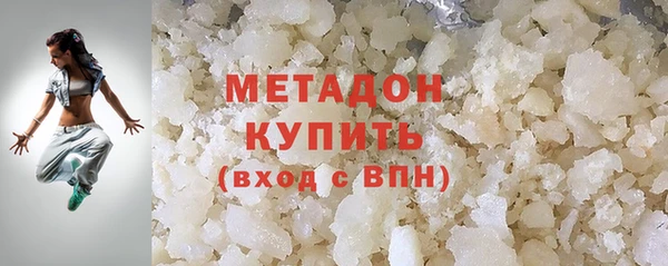 шишки Белокуриха